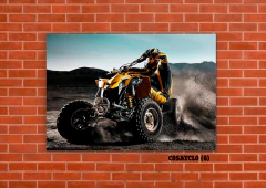 Cuatriciclos 6 en internet