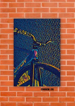 Bicicletas 9 en internet