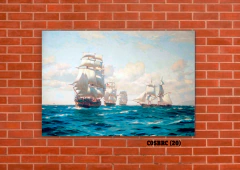 Barcos 20 en internet