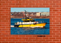 Barcos 31 en internet