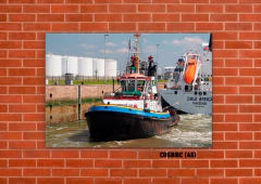 Barcos 45 en internet