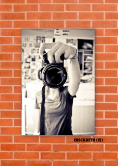 Cámaras de fotos 15 en internet