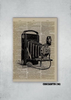 Cámaras de fotos 16