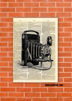 Cámaras de fotos 16 en internet