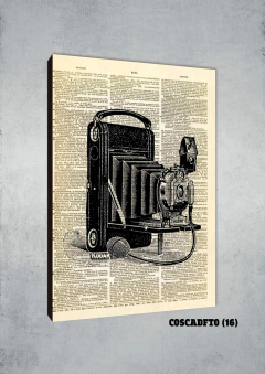 Cámaras de fotos 16 - comprar online