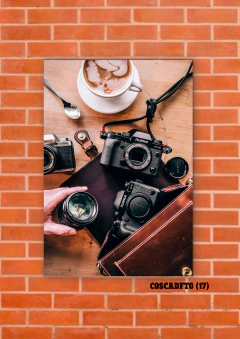 Cámaras de fotos 17 en internet