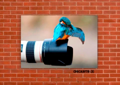 Cámaras de fotos 2 en internet