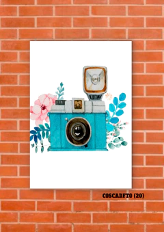 Cámaras de fotos 20 en internet