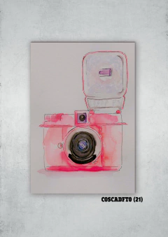 Cámaras de fotos 21