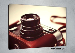 Cámaras de fotos 24 - comprar online