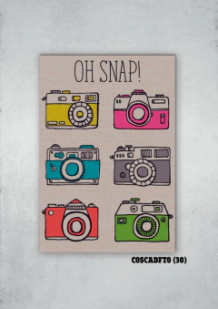 Cámaras de fotos 30