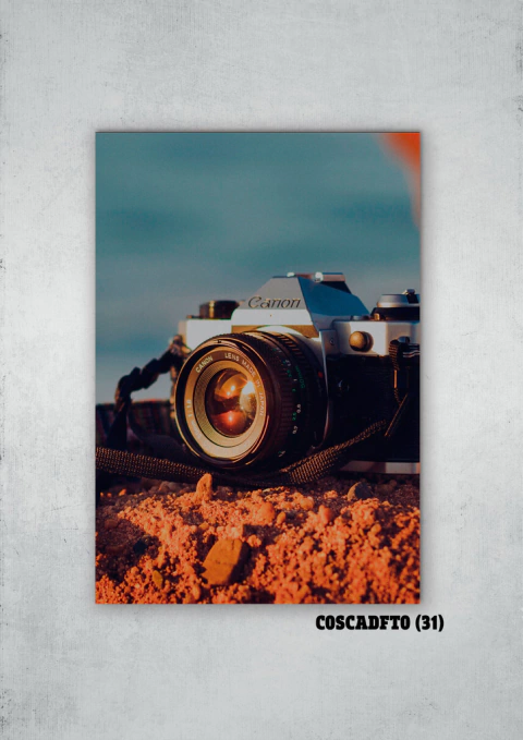 Cámaras de fotos 31