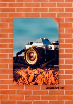 Cámaras de fotos 31 en internet