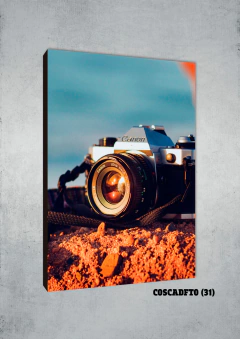 Cámaras de fotos 31 - comprar online