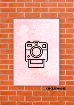 Cámaras de fotos 36 en internet