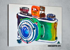 Cámaras de fotos 37 - comprar online