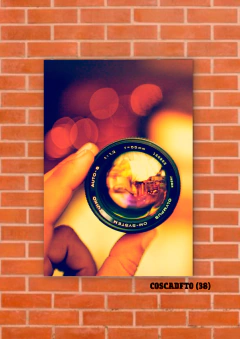 Cámaras de fotos 38 en internet