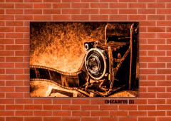 Cámaras de fotos 5 en internet