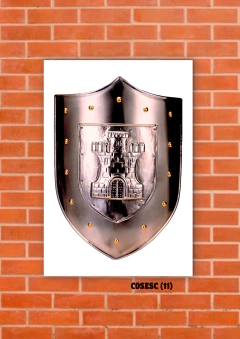 Escudos 11 en internet