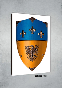 Escudos 16 - comprar online