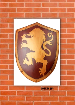 Escudos 9 en internet