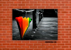 Paraguas 6 en internet