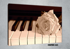 Pianos 40 - comprar online