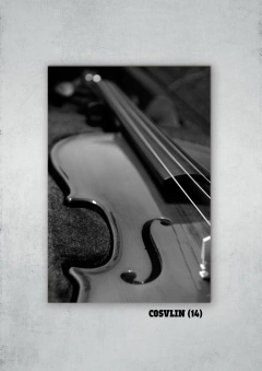 Violines 14
