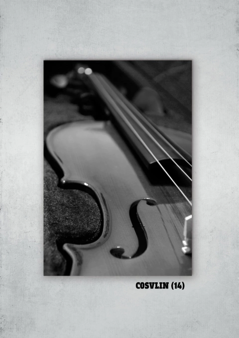 Violines 14