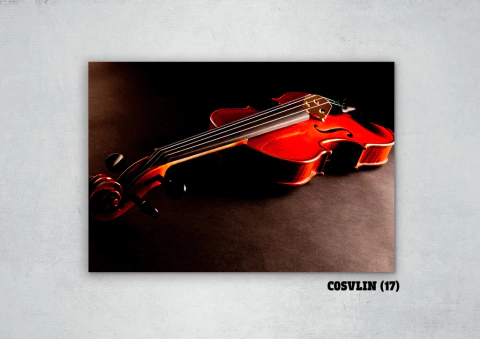 Violines 17