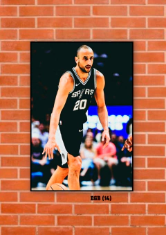Emanuel Ginobili 14 en internet
