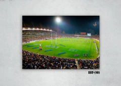 Estadios y canchas 10