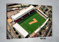 Estadios y canchas 12 - comprar online