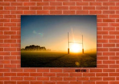 Estadios y canchas 13 en internet