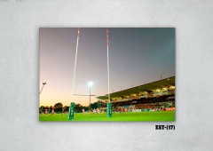 Estadios y canchas 17