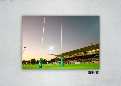 Estadios y canchas 17