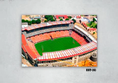 Estadios y canchas 6