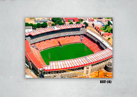 Estadios y canchas 6