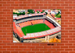 Estadios y canchas 6 en internet