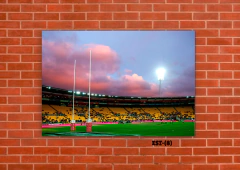 Estadios y canchas 8 en internet