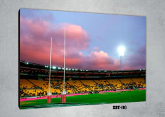 Estadios y canchas 8 - comprar online