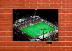 Estadios y canchas 9 en internet