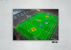 Estadios y canchas 2