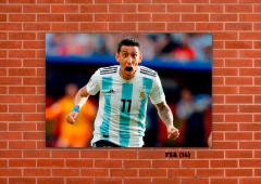 Selección Argentina 14 en internet