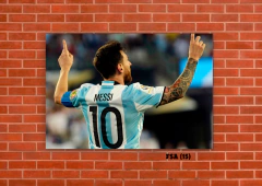 Selección Argentina 15 en internet