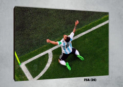 Selección Argentina 26 - comprar online