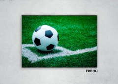 Futbol Varios 14 - comprar online