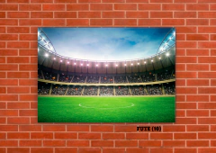 Estadios 10 en internet