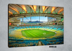 Estadios 2 - comprar online