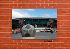 Estadios 20 - comprar online